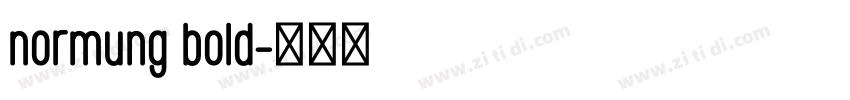 normung bold字体转换
